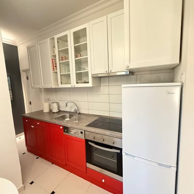 Аренда светлой 2-комнатной квартиры, 43 м², центр Белграда, Сербия